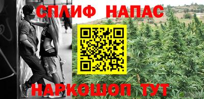 индика Заводоуковск