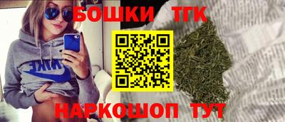 индика Заводоуковск