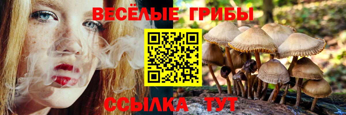 Галлюциногенные грибы MAGIC MUSHROOMS  Галлюциногенные грибы мухоморы  Кингисепп  Вход с VPN 